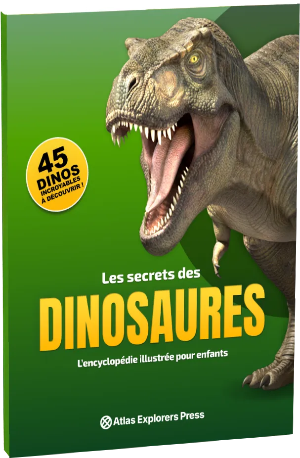 Les Secrets des Dinosaures — book cover